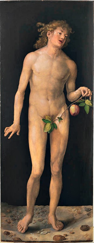 Representación de Adán, (1507). Óleo de Alberto Durero (1471-1528). Museo del Prado, Madrid, España. (Public Domain)