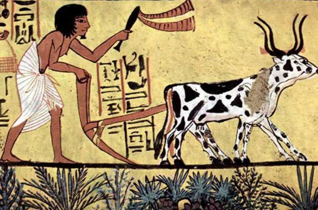 Pintura mural de la cámara funeraria de Sennedjem. Escena: Agricultor arando. (Dominio público)
