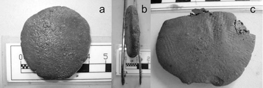 Vista frontal, de perfil y posterior de una de las antiguas tabletas medicinales romanas halladas entre los restos de naufragio del Relitto del Pozzino. (Imagen: PNAS/Giachi et. al.)