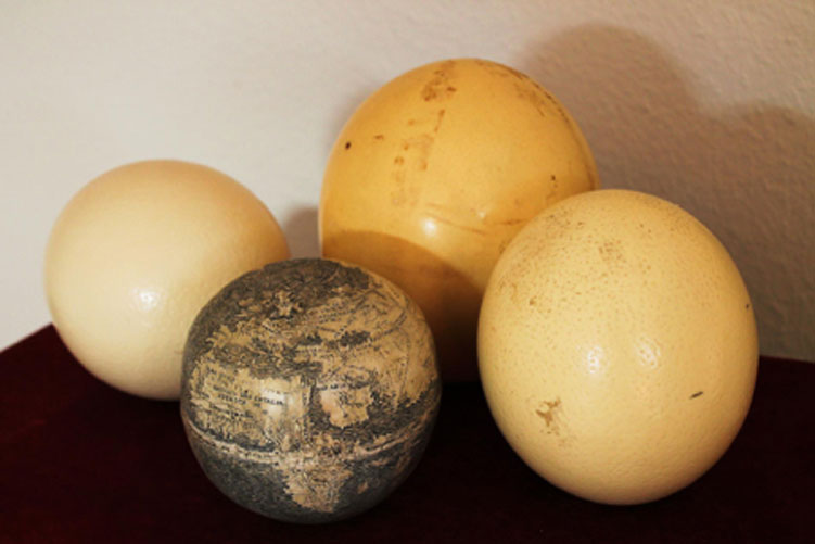 El antiguo globo terráqueo grabado sobre cáscara de huevo de avestruz, rodeado a su vez de varios huevos de avestruz. Fotografía: Washington Map Society.