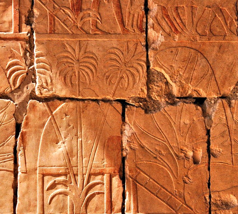 En este relieve aparecen representados árboles de incienso y mirra traídos por Hatshepsut de su expedición a Punt. (Hans Bernhard (Schnobby)/CC BY-SA 3.0)