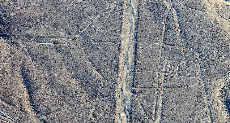 La Ballena, Líneas de Nazca. (Diego Delso, delso.photo/CC BY-SA 4.0)