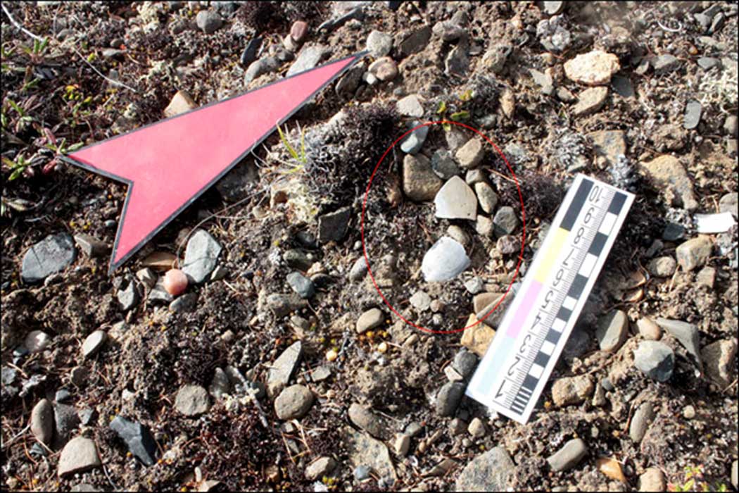 Los bezotes y puntas de flecha neolíticos descubiertos recientemente se encontraban a la vista sobre el terreno. 