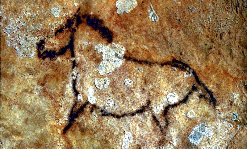 Uno de los caballos pintados sobre las paredes de roca de Santimamiñe. (ETOR Entziklopedia/CC BY-SA 3.0)