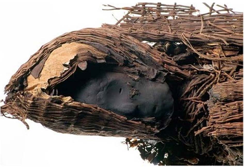 Cabeza de una antigua momia Chinchorro hallada en el norte de Perú (Pablo Trincado/Wikimedia Commons)