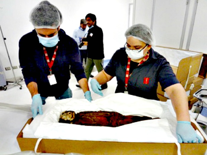 Imagen del proceso de escaneado de las momias Chinchorro en la Clínica Las Condes de Santiago de Chile. (Fotografía: MNHN)