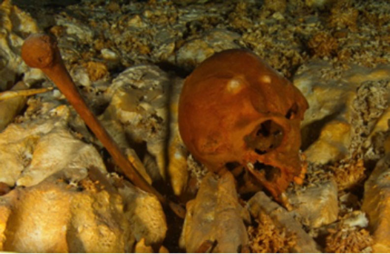 Cráneo de Naia (HoyoNegro.org)