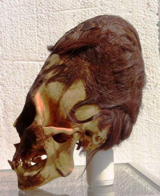 Cráneo elongado de Paracas con sus característicos cabellos rojizos. (Brian Foerster)