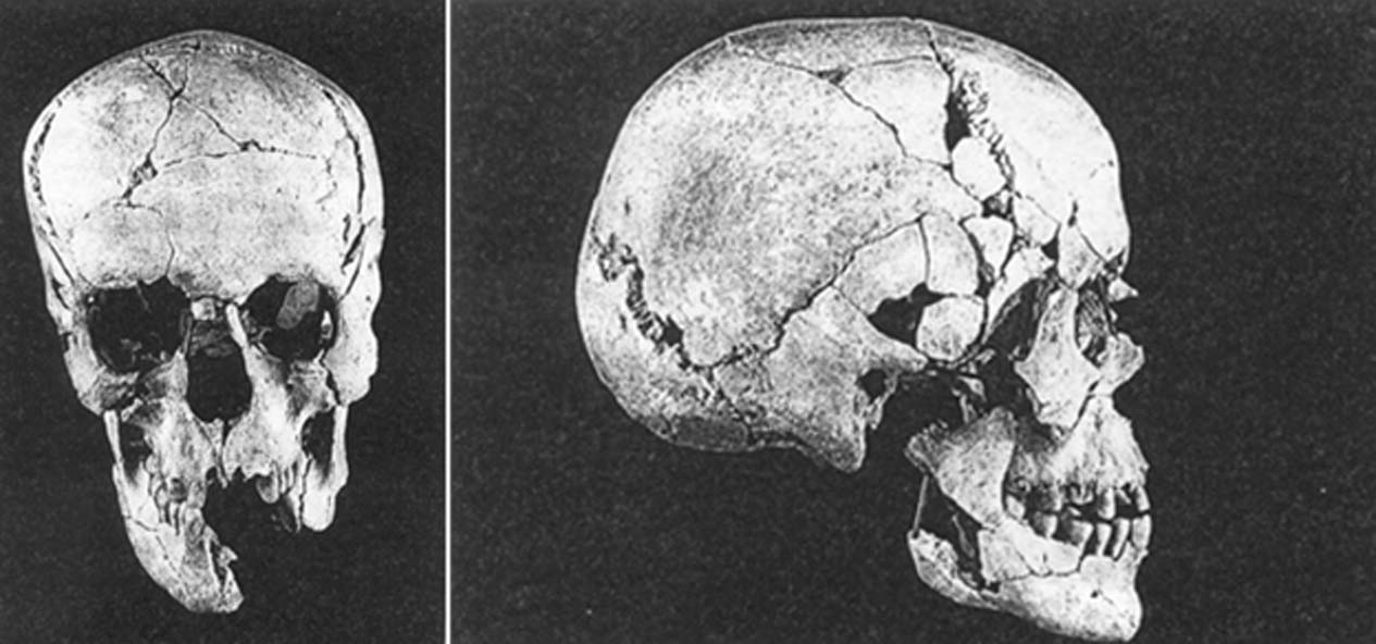 Cráneo encontrado en Qumrán. (Archaeology-of-Qumran/CC BY SA 3.0)