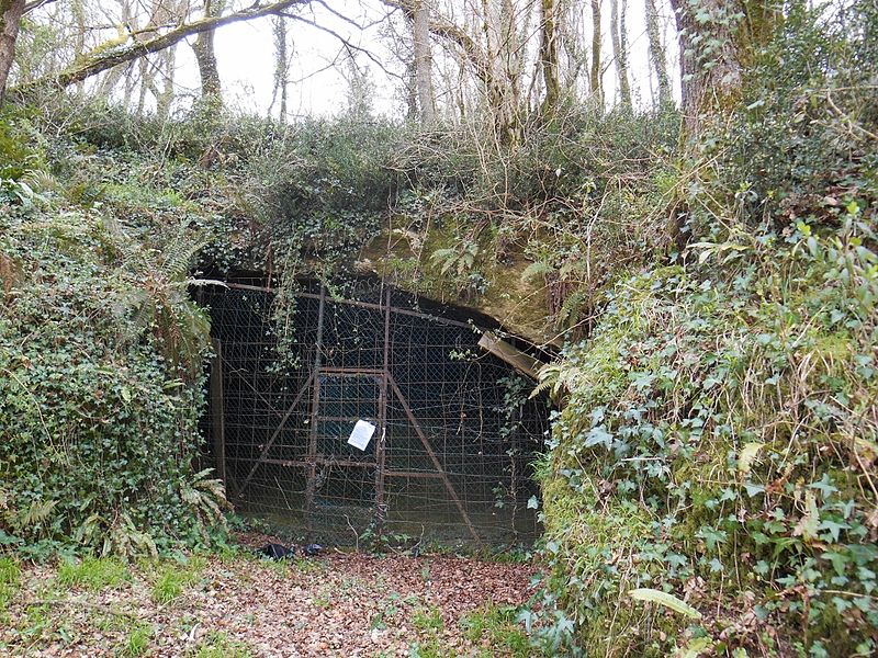 Boca de acceso a la Cueva del Papa (Dame de Brassempouy/CC BY-SA 4.0)