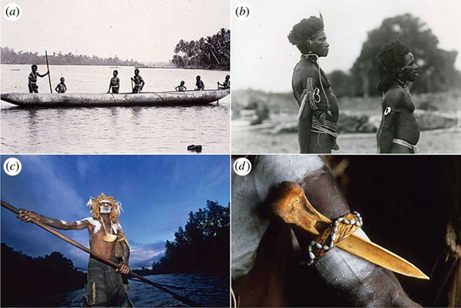 Los puñales de hueso de Nueva Guinea eran objetos cargados de prestigio social y utilizados a menudo como adorno personal. (Bruno Zanzottera)