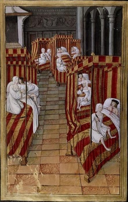 Las Danaides dan muerte a sus maridos. (Public Domain)