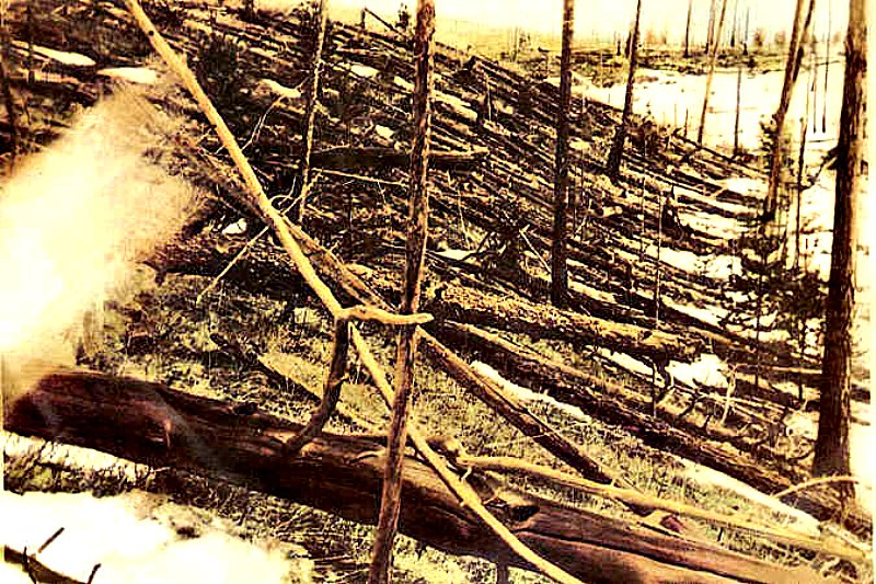 Estragos causados por la explosión de Tunguska. Los árboles fueron derribados y ardieron en cientos de kilómetros cuadrados por el impacto del meteorito de Tunguska. Esta imagen ha sido recortada de la fotografía original, tomada en mayo de 1929 en el transcurso de la expedición de Leónidas Kulik. (Dominio público)