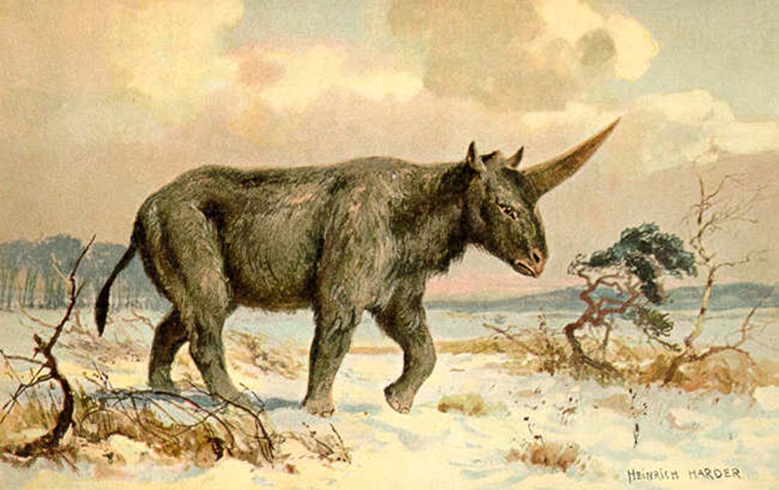 ‘Elasmotherium’, ilustración de Heinrich Harder realizada en torno al año 1920. (Public Domain)