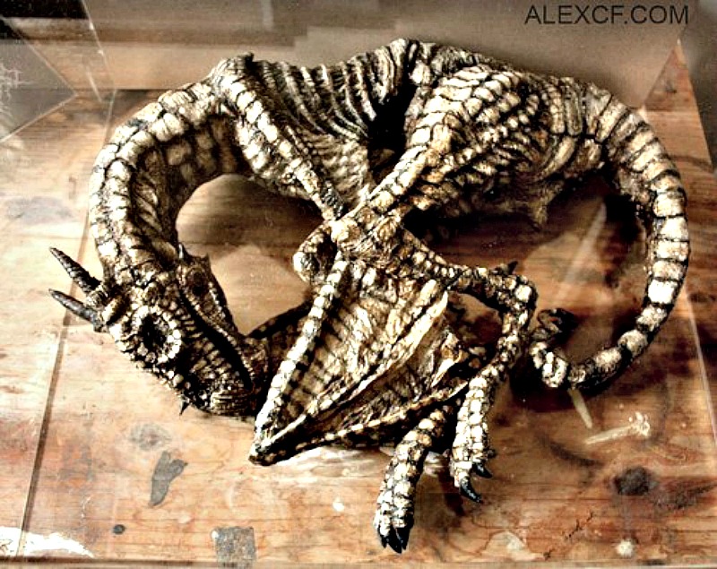 Supuesto ejemplar de cría de Draco Alatus (Dragón alado) (Fotografía: Merrylin Cryptid Museum)