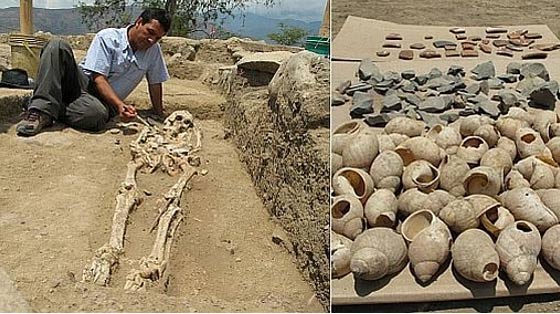 Esqueleto y caracolas hallados en el yacimiento de Montegrande. (Fomento a la Inversión Privada y Turismo-JAEN)