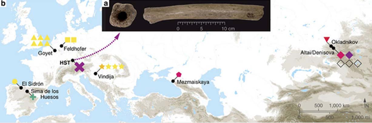 (a) Fotografías del fémur de Hohlenstein-Stadel, (b) mapa de los yacimientos arqueológicos en los que se ha podido reconstruir por completo ADN mitocondrial perteneciente a humanos arcaicos (Cosimo Posth et al CC BY 4.0)