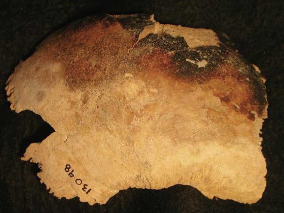 Este fragmento de cráneo, que fue destrozado y quemado, fue recuperado en las excavaciones realizadas en la aldea abandonada de Wharram Percy, condado de Yorkshire, Inglaterra. (Historic England/PA Wire)