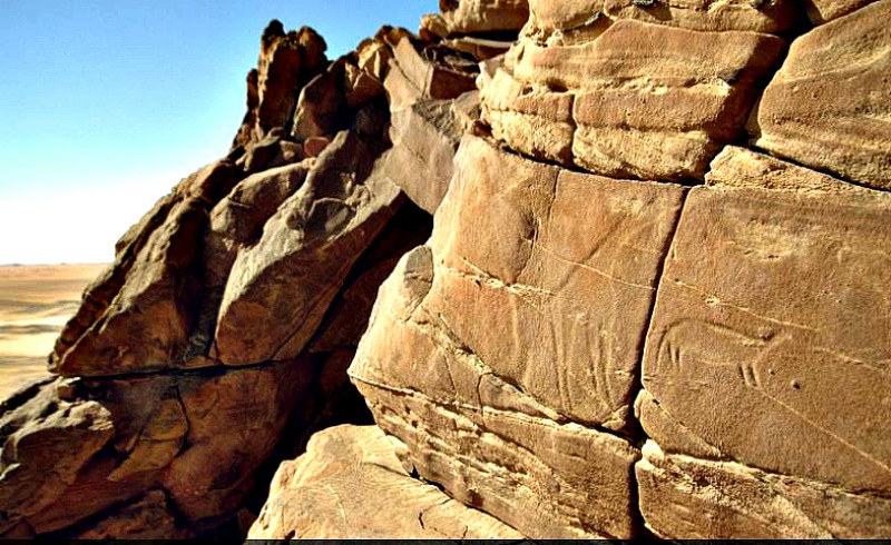 Grabados del desierto occidental de Egipto en los que pueden observarse imágenes de jirafas y otros animales. (Fotografía: La Gran Época/TARA)