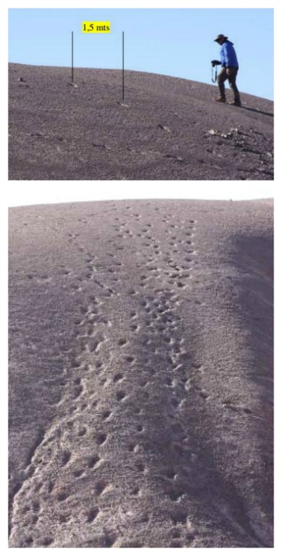 El fotógrafo e investigador chileno ha obtenido imágenes en las que se evidencian huellas cada 1,5 metros. Huellas de pies gigantes de al menos 60 cm de largo. (Fotografías: A. Nadgar Rojas)