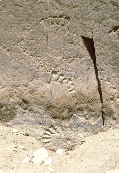 Huellas de pies con seis dedos grabadas sobre la piedra en las cercanías de Pueblo Bonito, cañón del Chaco, Nuevo México. Fotografía: Peter Faris (1994)
