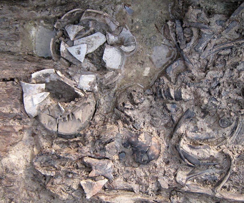 Primer plano de los restos de la mitad superior del cuerpo de la mujer, entremezclados con otros objetos hallados en la tumba. Fotografía: Lee et al., publicada bajo una Licencia Creative Commons.