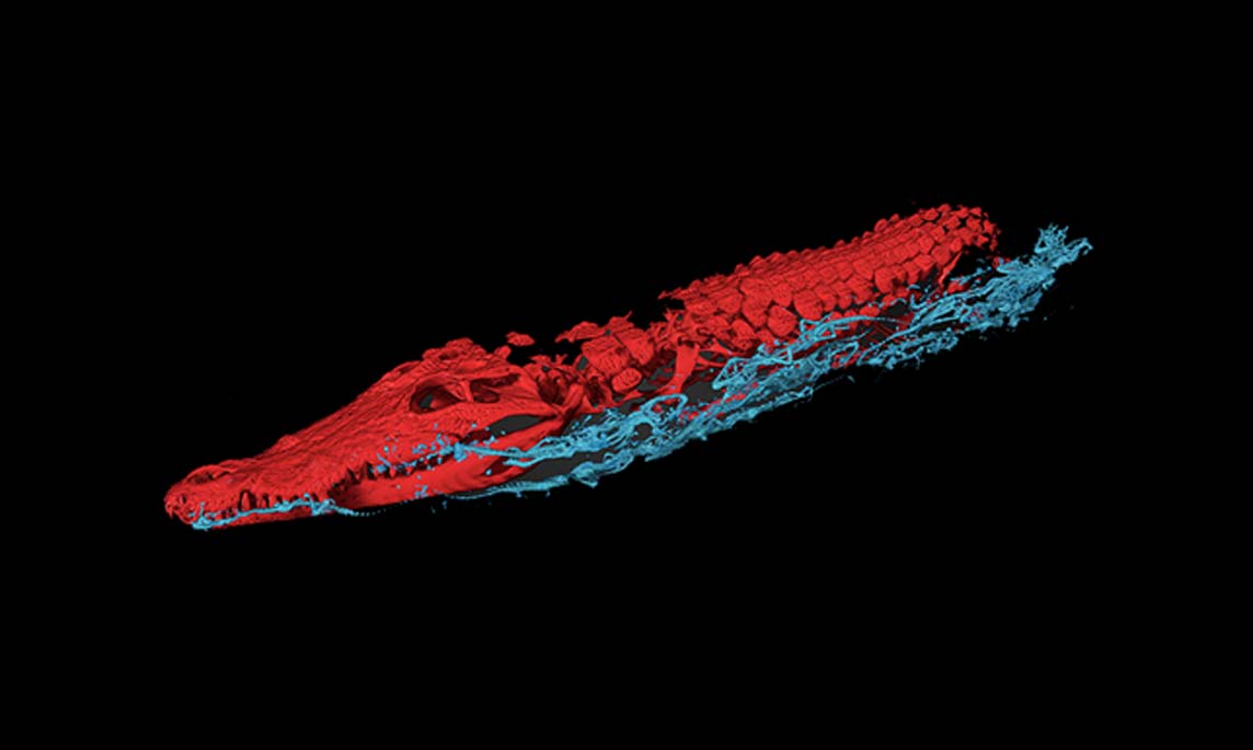 En esta imagen del escáner los cocodrilos bebé aparecen en color azul. (Interspectral)