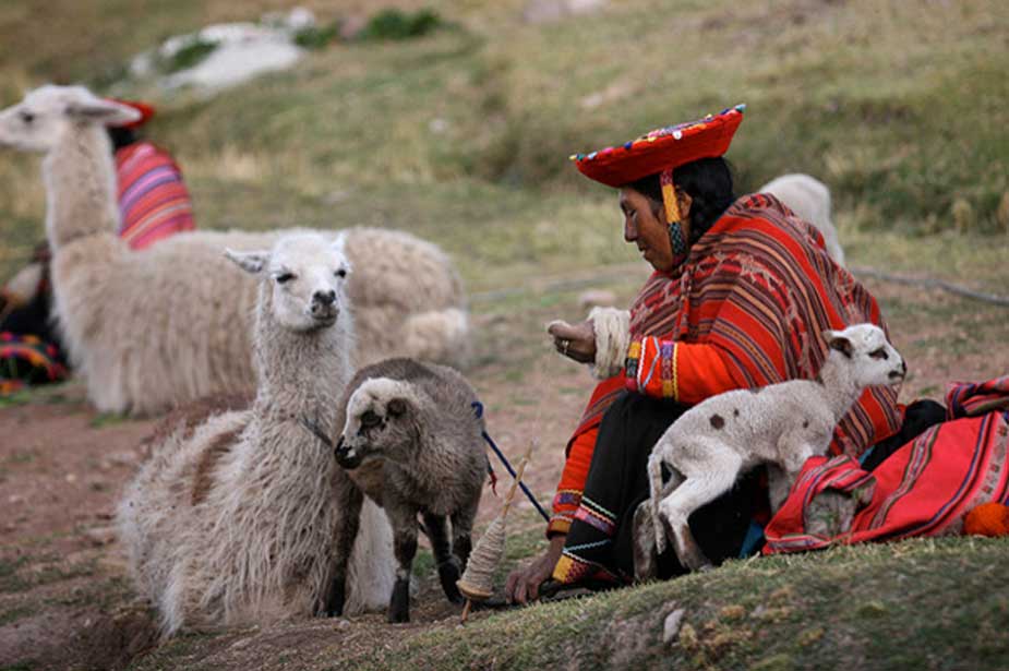 Habitante indígena de los Andes con llamas y corderos (CC BY-NC-SA 2.0)