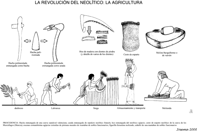 Esquema de las actividades agrícolas del Neolítico relacionadas con sus herramientas. Se han elegido tanto dibujos de herramientas reales (hallazgos arqueológicos), como actividades representadas, en este caso en pinturas egipcias. (Public Domain)