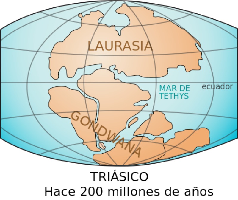 Situación de los supercontinentes de Laurasia y Gondwana hace 200 millones de años. (LennyWikidata/CC BY-SA 3.0)