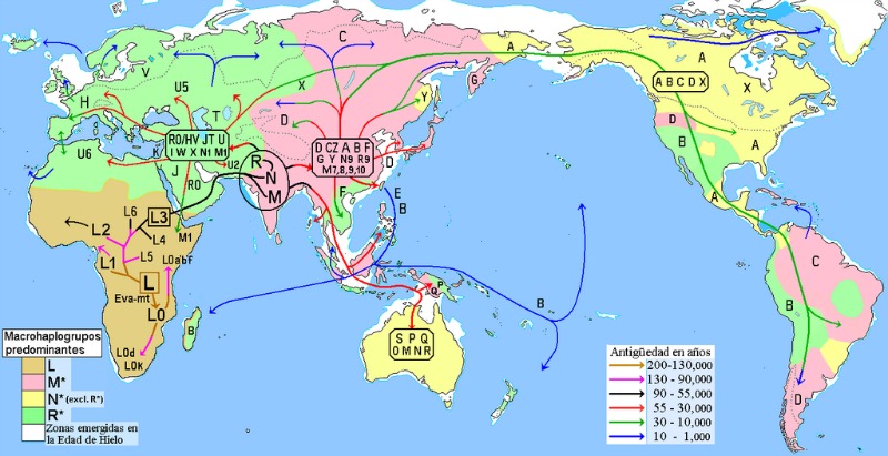 Mapa de las migraciones humanas que tuvieron lugar a lo largo de la prehistoria en función de sus haplogrupos mitocondriales. En color rosa-malva, las zonas de predominio del Haplogrupo M y sus descendientes en poblaciones nativas. (Maulucioni/CC BY – SA 3.0)