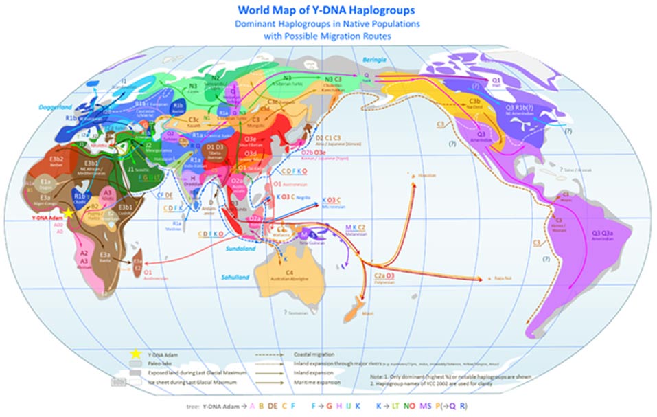 Mapa mundial de los haplogrupos del cromosoma Y: haplogrupos de las poblaciones precoloniales y posibles rutas migratorias. (CC BY SA 3.0) 