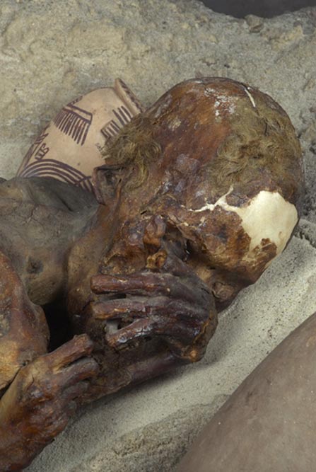 Detalle de la momia de ‘El Pelirrojo’. (Museo Británico)