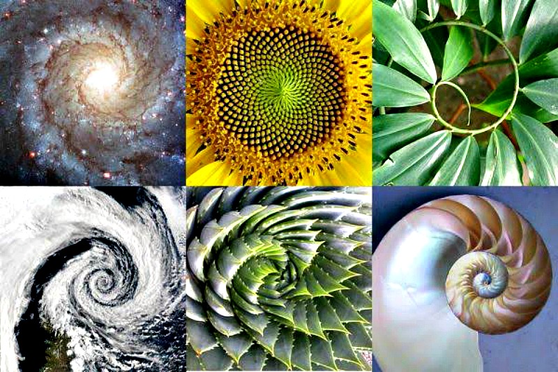 Existen patrones que aparecen de modo natural en el universo. (Fotocomposición: Código Oculto)