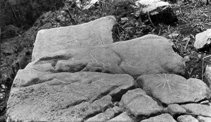 Petroglifo grabado sobre una roca con forma de estrella (Fotografía: Fernando Astete/National Geographic)