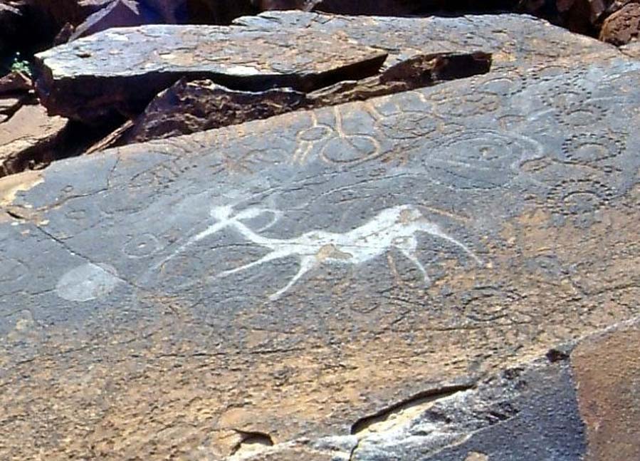 Petroglifo del "Kudú danzante", Twyfelfontein, Namibia. (Thomas Schoch/CC BY SA 3.0)