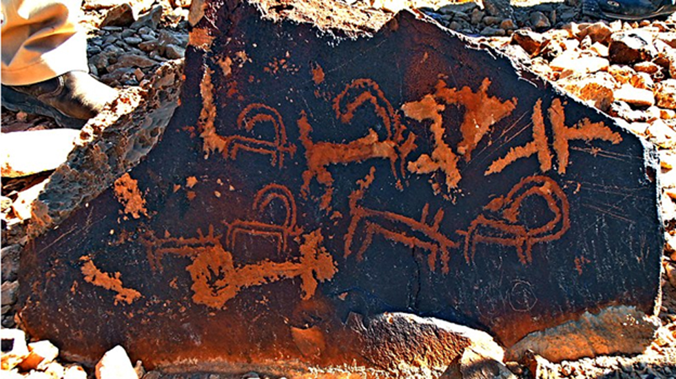 Petroglifos con íbices y símbolos diversos hallados en el monte Karkom, Néguev, Israel. (CC BY-SA 3.0)