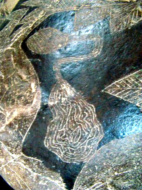 Detalle de una de las piedras de Ica en la que, supuestamente, se observa un cerebro conectado a algún tipo de aparato. (Fotografía:La Gran Época/Nancy Sathre-Vogel)