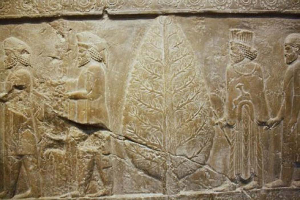Mitra y el árbol inmortal en un relieve de Persépolis, capital ceremonial del Imperio aqueménida. (IPC)