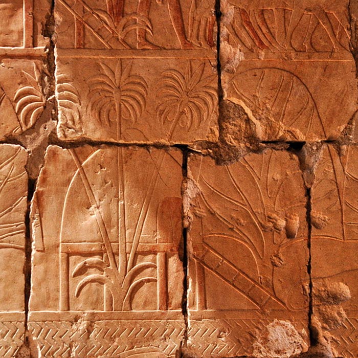 En este relieve podemos observar los árboles de incienso y mirra traídos por Hatshepsut a su regreso de Punt. (CC BY-SA 3.0)
