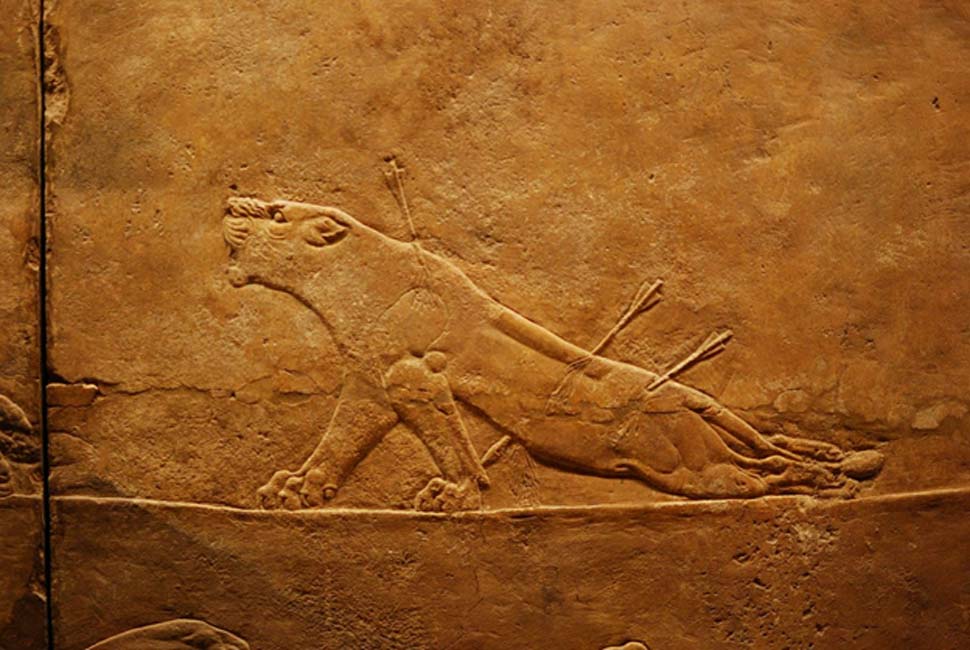Relieve en el que se da caza a una leona, colecciones asirias del Museo Británico (Sala 10) (CC BY 2.0)