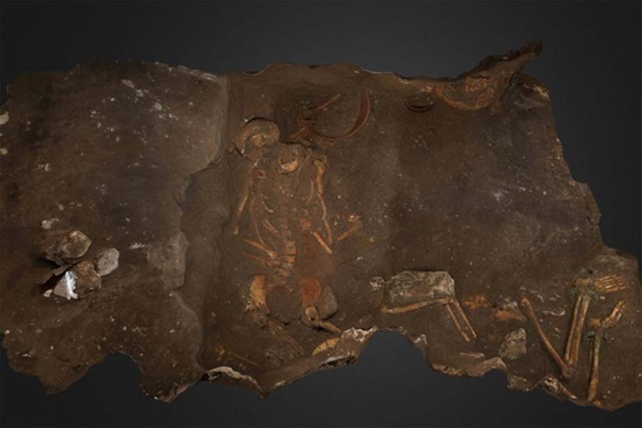 Restos de dos de los tres individuos enterrados en la sepultura de una rica familia cananea tal y como fueron descubiertos por los arqueólogos. (Adam Prins y Robert Homsher)