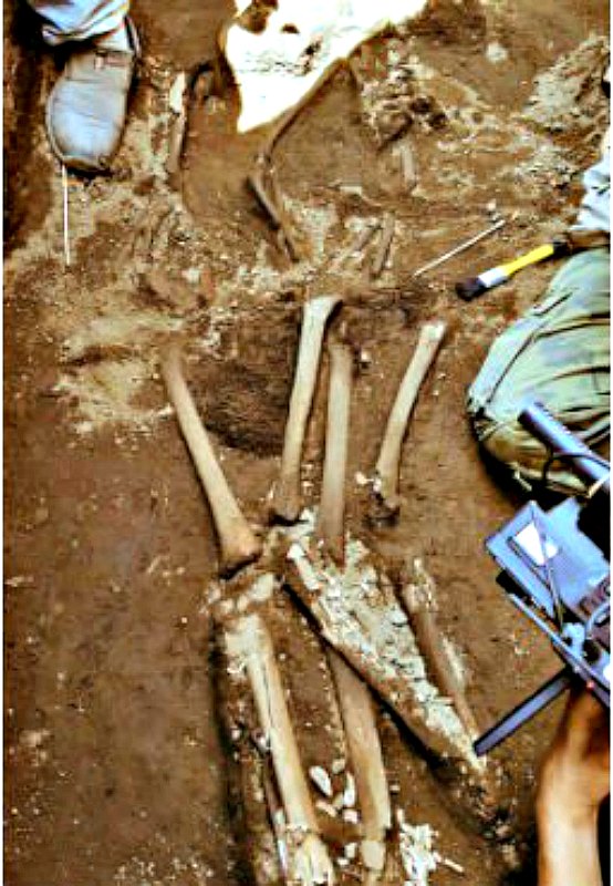 Algunos de los huesos recuperados en el yacimiento de Ticuantepe, Nicaragua. (Fotografía: Canal 4)