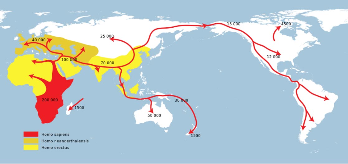 Rutas y fechas de emigración según la Teoría del Origen Africano (Wikimedia Commons)
