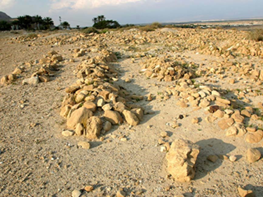 Sección del cementerio de Qumrán. (virtualqumran)