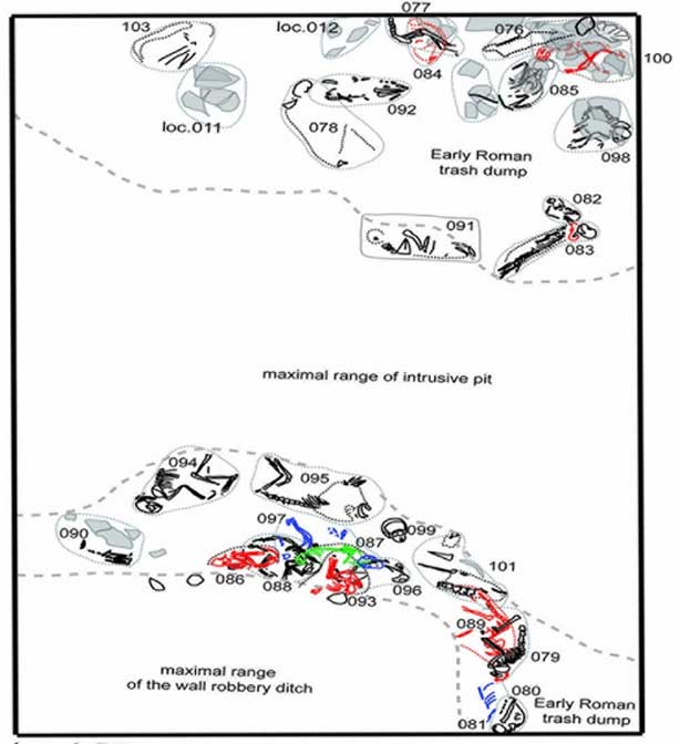 Dispersión de las tumbas de pequeños animales en una de las fosas excavadas. El estrato del antiguo vertedero está datado en el siglo II d. C. (dibujo realizado por P. Osypiński)