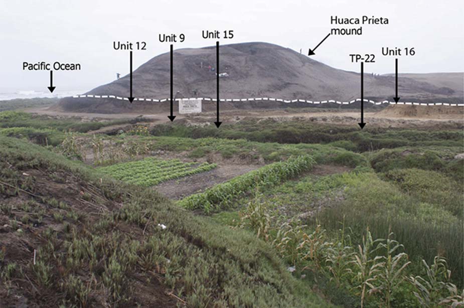 El túmulo de Huaca Prieta, situado sobre la Terraza de Sangamon (la superficie enterrada de la terraza, con depósitos culturales del Pleistoceno Tardío y principios del Holoceno, aparece indicada por la línea discontinua bajo el túmulo). Fotografía: ScienceAdvances