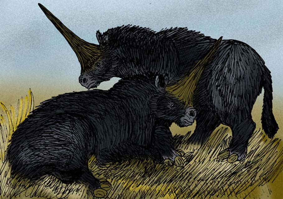 Interpretación artística del antiguo rinoceronte apodado “Unicornio Gigante”, el Elasmotherium sibiricus de la Siberia del Pleistoceno. (Apokryltaros/CC BY SA 3.0)