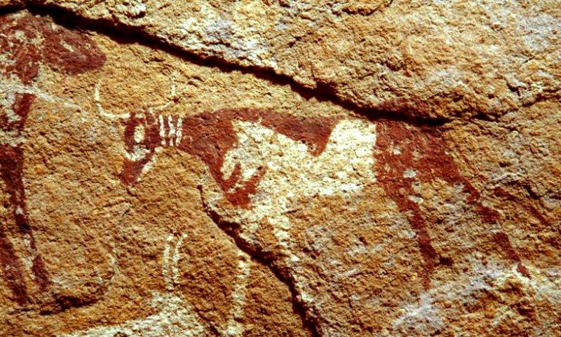 Pintura rupestre de una vaca con un supuesto collar triple, Wadi al Firaq, Egipto. (Fotografía: La Gran Época/TARA)