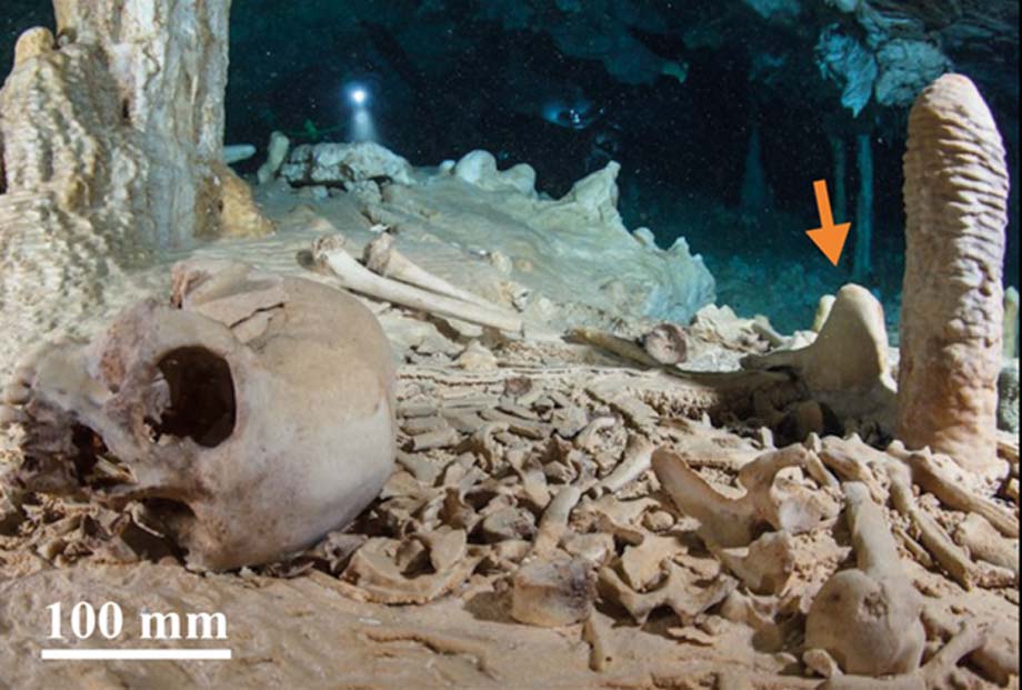 El yacimiento arqueológico de Chan Hol II antes del saqueo. La flecha señala la estalagmita del CH-7 analizada por los investigadores. (Fotografía: Nick Poole y Thomas Spamberg)